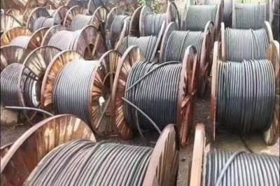 武漢回收服務全解析 資源循環(huán)利用，共建綠色城市